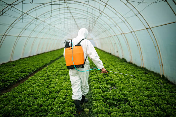 Best Pest Prevention Services  in Omak, WA