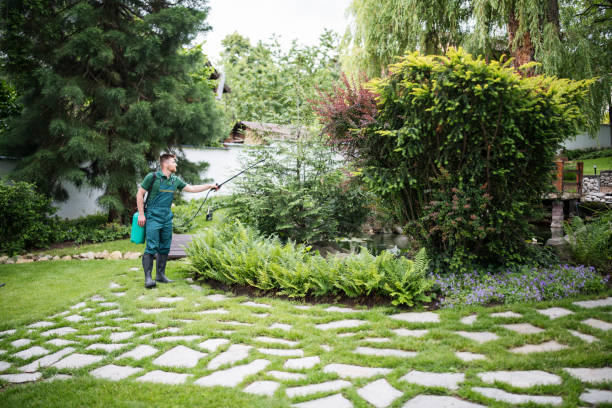 Best Ant Control Services  in Omak, WA