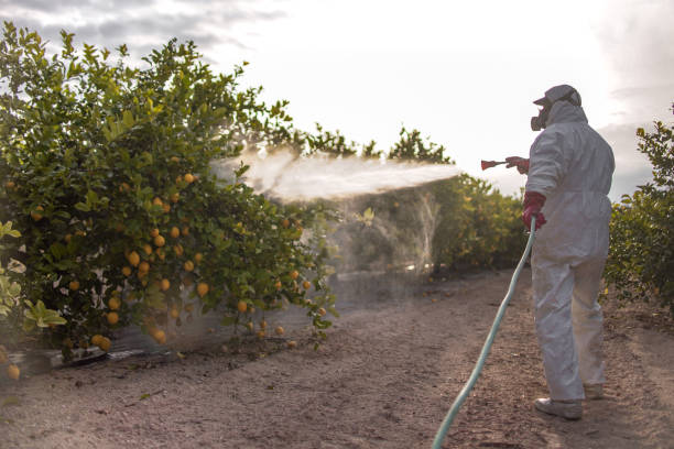 Best Cockroach Control Services  in Omak, WA