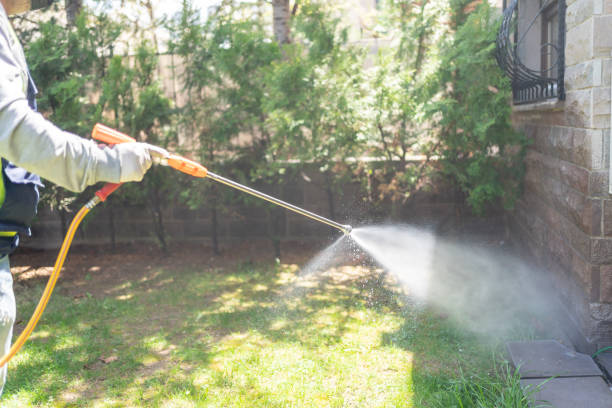 Best Affordable Pest Control Services  in Omak, WA