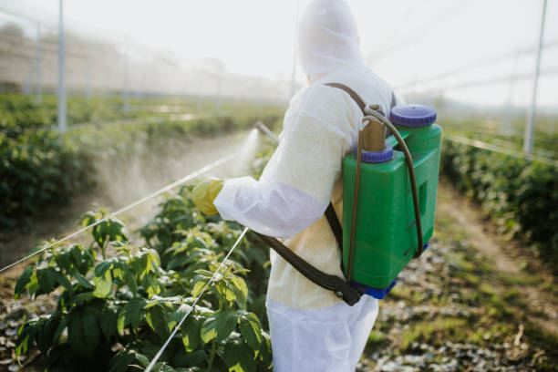 Pest Prevention Services in Omak, WA